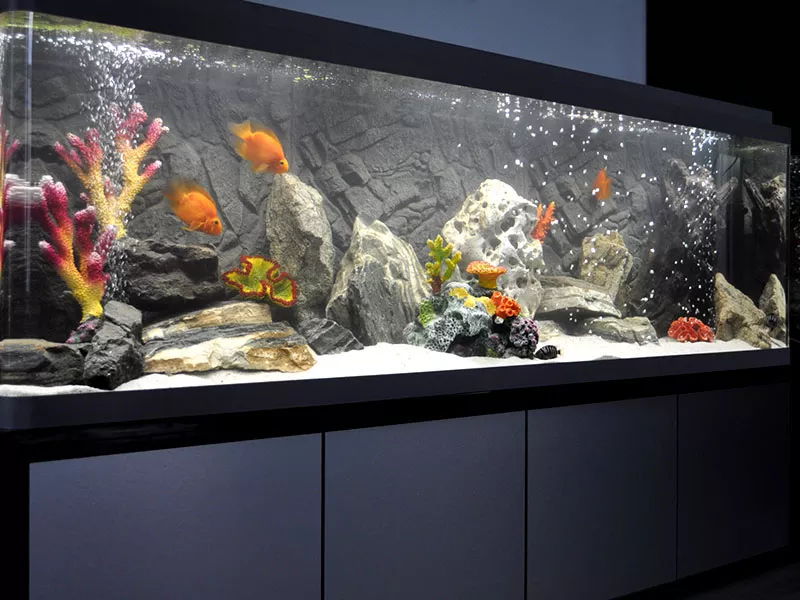 Акваріуми з акрилу