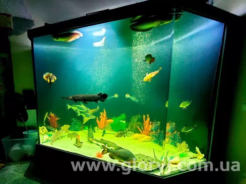 Виготовлення акваріумів з акрилу великих розмірів