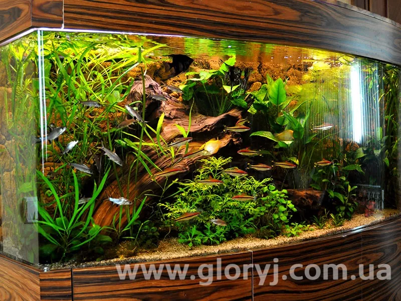Акваріуми з акрилу на замовлення