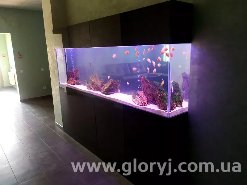 Виробництво акваріумів з акрилу за індивідуальними розмірами